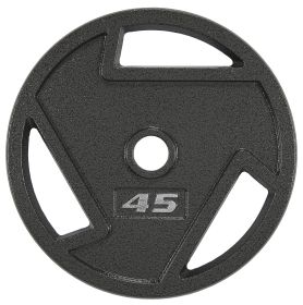 Only Supports Self Pickup  Cast Iron Flat Weight Plates For Strength Training And Weight Lifting, Olympic Or Standard, Multiple Sizes (Option: 45LB Single)